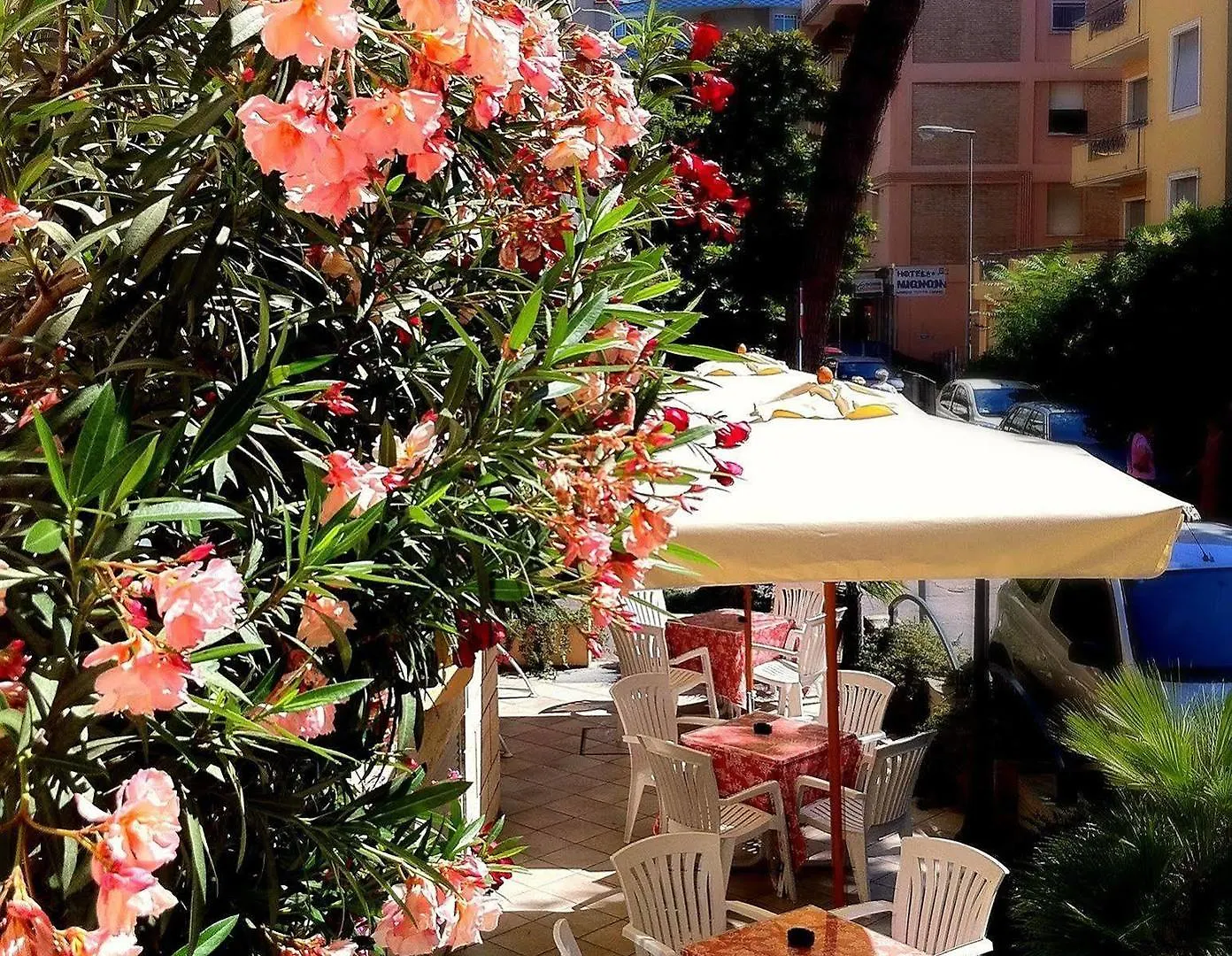 Hotel Piccinelli Rimini